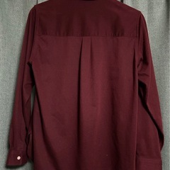 LACOSTEシャツ M の画像