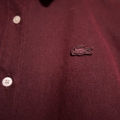 LACOSTEシャツ M の画像