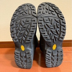 UGGブーツ　29センチ　男性用の画像