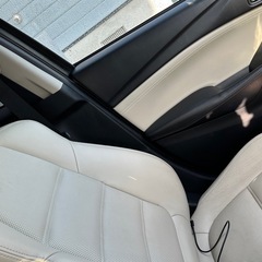 アテンザ　車検長い！ガラスコーティング済みの画像