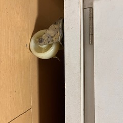 ペールカウンター(ゴミ箱つきの棚)の画像