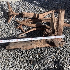 アクアリウムの画像