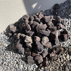 アクアリウムの画像