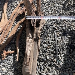 アクアリウムの画像