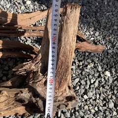 アクアリウムの画像