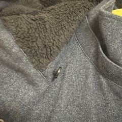 メンズコートの画像