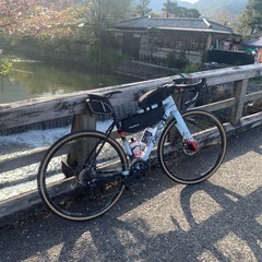 ネスト　ガベル
の画像