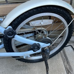 コーダブルーム　の画像