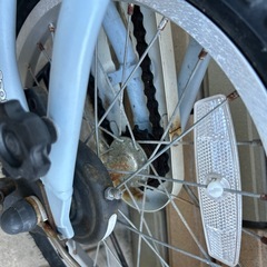 コーダブルーム　の画像