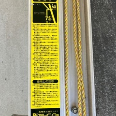 アルインコ2連梯
の画像