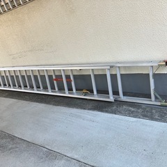 アルインコ2連梯
の画像