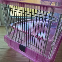 ハムスターケージの画像