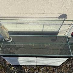 オールガラス水槽の画像