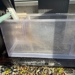 オールガラス水槽の画像