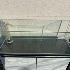 オールガラス水槽の画像