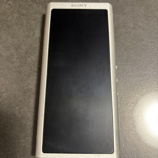 SONY ウォークマン NX300