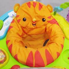 フィッシャープライス レインフォレスト・ジャンパルーⅡ　3カ月～ 赤ちゃん 幼児 子ども fisher-price ジャンパー　折りたたみ可能の画像