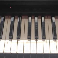 カシオ　電子ピアノ　CELVIANOの画像