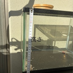 ⚠️11/26まで　水槽の画像