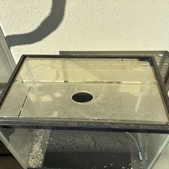 ⚠️11/26まで　水槽の画像