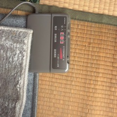 ホットカーペット
の画像