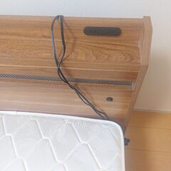 至急ベット売ります！の画像