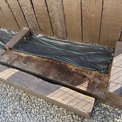 枕木10本　全て引き取ってくださる方お願いしますの画像