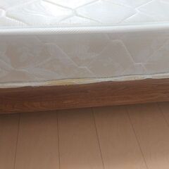 至急ベット売ります！の画像