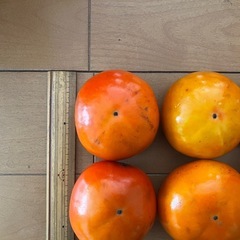 甘柿　10個セット➕オマケ2つ
の画像