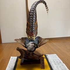 鳥(銀鶏鳥)剥製
の画像