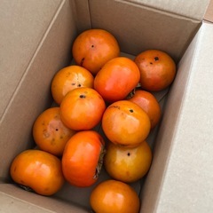 甘柿　10個セット➕オマケ2つ
の画像