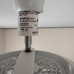 早い者勝ち！お引き取り願います！の画像