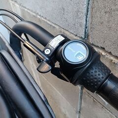 電動子乗せ可自転車の画像