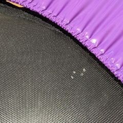 トランポリンの画像