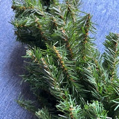 未使用品★クリスマスツリー　もみの木の画像