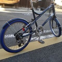 新品タイヤ、チェーン、ブレーキパッド、グリップ交換済みから100キロ程度ルイガノイーゼルの画像