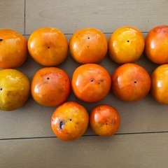 甘柿　10個➕オマケ2つの画像