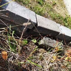 ブロックの画像