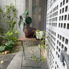 IKEA TARNOガーデンテーブル　の画像