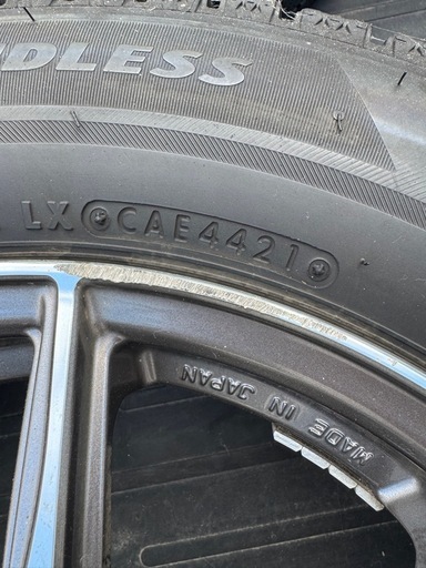 WedsSport ウェッズスポーツ レオニス
