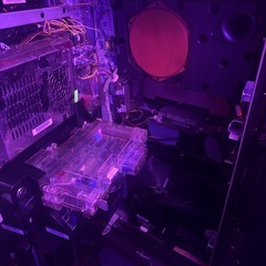 アナザーゴッドハーデス　実機　犬パネルの画像