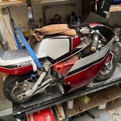 ポケバイ
の画像