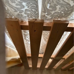 すのこ🐬✨大小　八潮市お渡しの画像