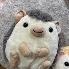 ハリネズミ の画像