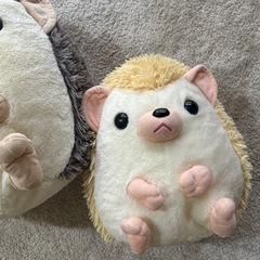 ハリネズミ の画像