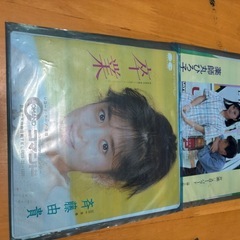 レコードまとめの画像