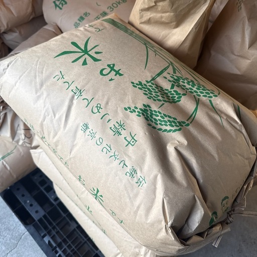 令和7年 新米 玄米 京都産 キヌヒカリ 30kg