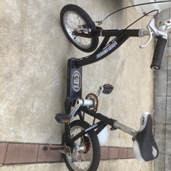 LOUIS GARNEAU ルイガノ　キッズ用自転車の画像