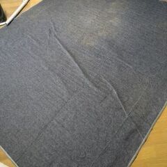 通電確認済み　3畳用電気カーペットの画像