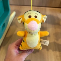 プーメリーの画像